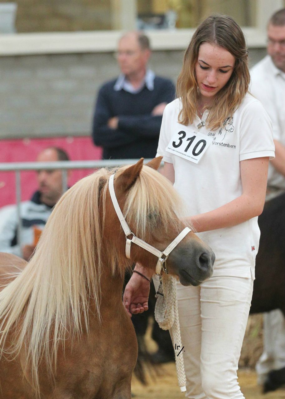 Kampioen Midden maat 2011