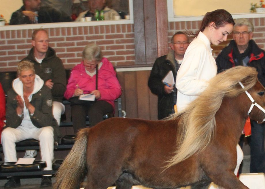 Nationaal Kampioen Kleine Maat 2013