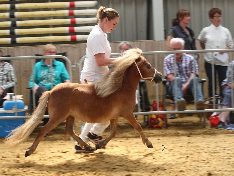 2019 jeugdkampioen kleine maat